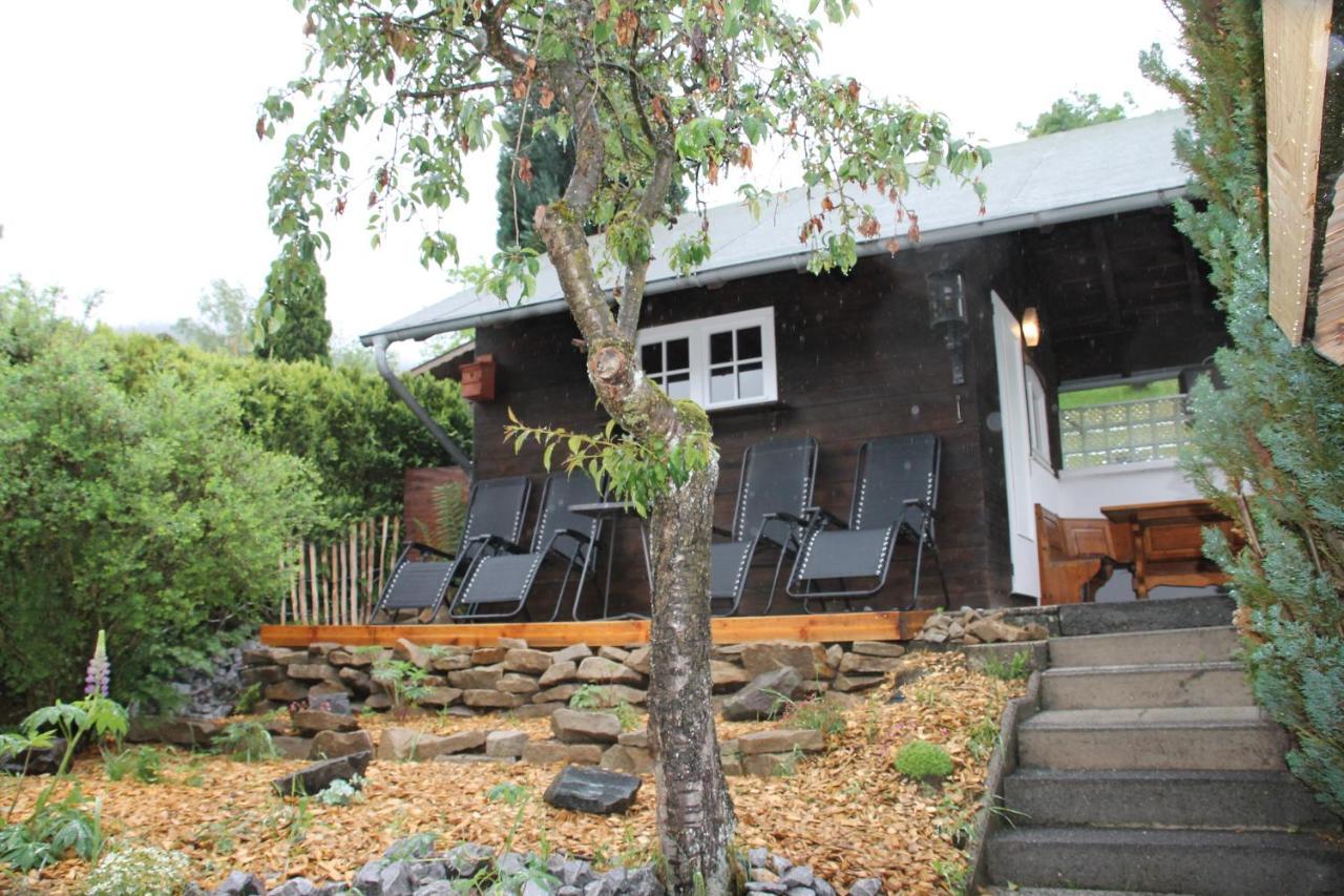 Ferienhaus Winterberg Fuer 12 Personen Sauna Garten Garage Hund Dış mekan fotoğraf