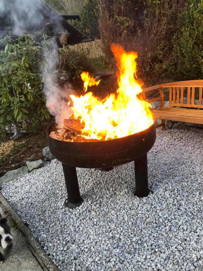 Ferienhaus Winterberg Fuer 12 Personen Sauna Garten Garage Hund Dış mekan fotoğraf